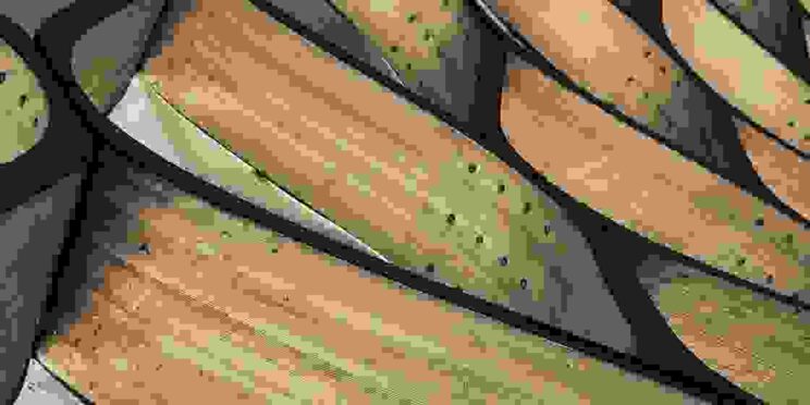Wavy wood
